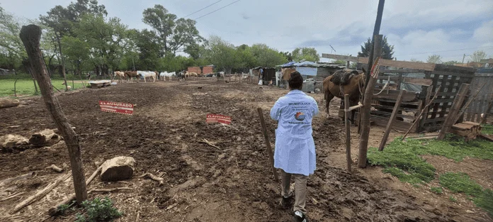 Clausuraron un pensionado de caballos en El Cazador por funcionar sin habilitaci&oacute;n