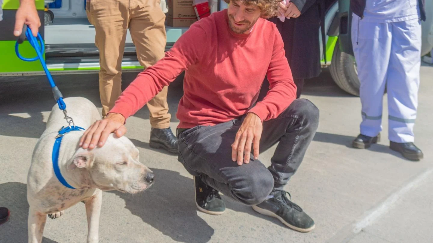 San Fernando prohibi&oacute; a los criaderos de mascotas y la venta de animales en comercios
