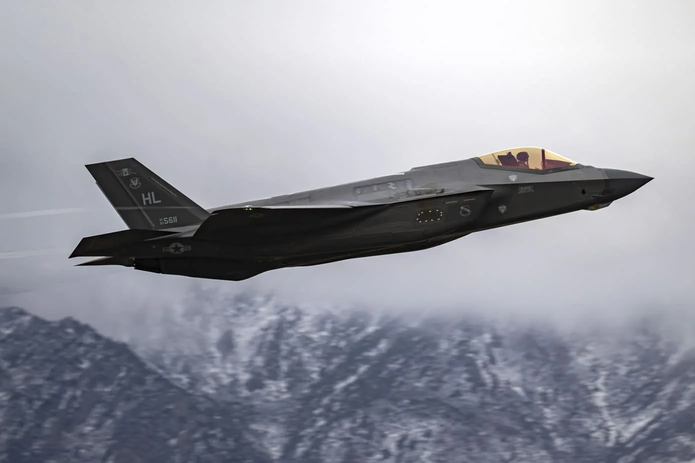 NOTICIAS PILAR:VENTAS DE CAZAS FURTIVOS