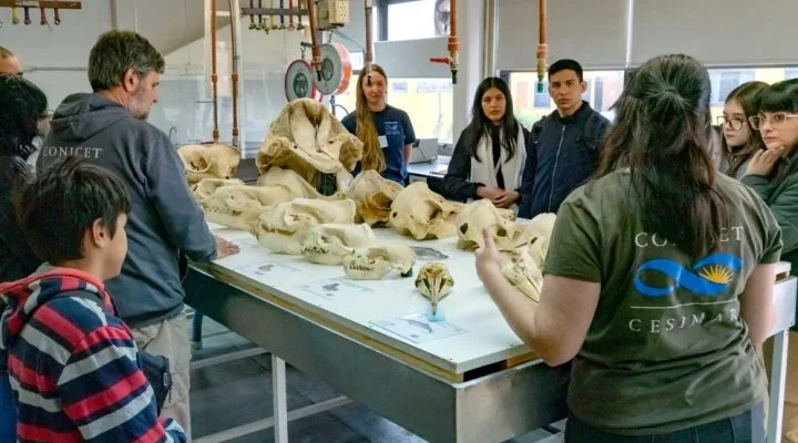 Nueva edición del CENPAT Abierto en Puerto Madryn