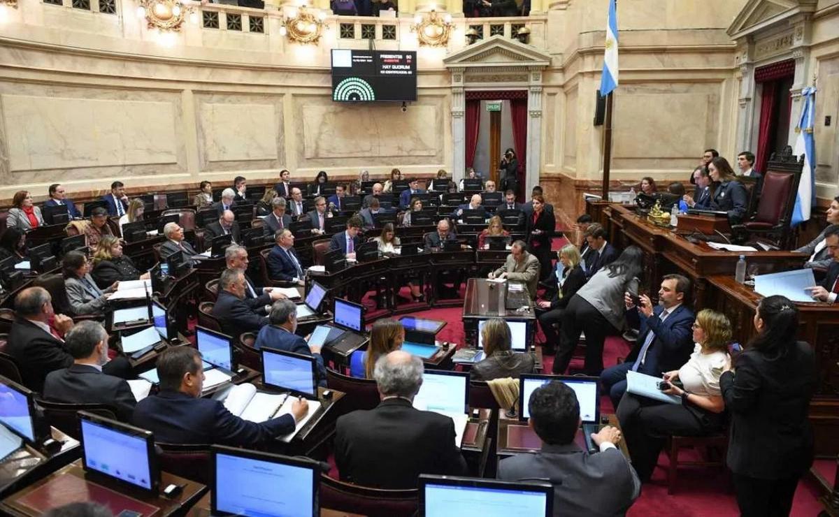 DEBATE EN EL SENADO