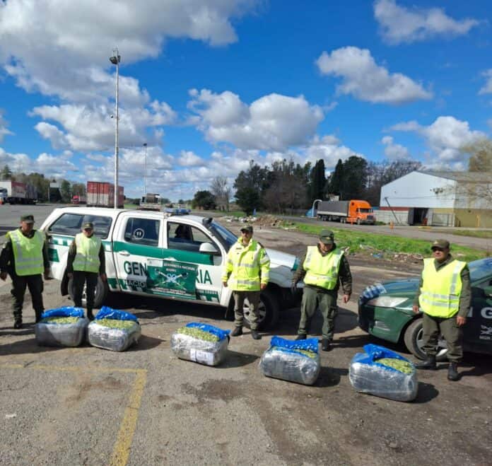 En Z&aacute;rate, Gendarmer&iacute;a intercept&oacute; 115 kilos de hojas de coca