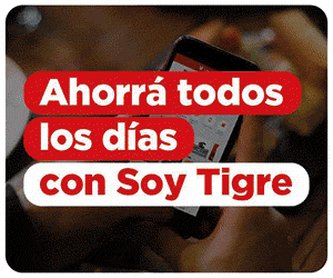 NOTICIAS DE TIGRE