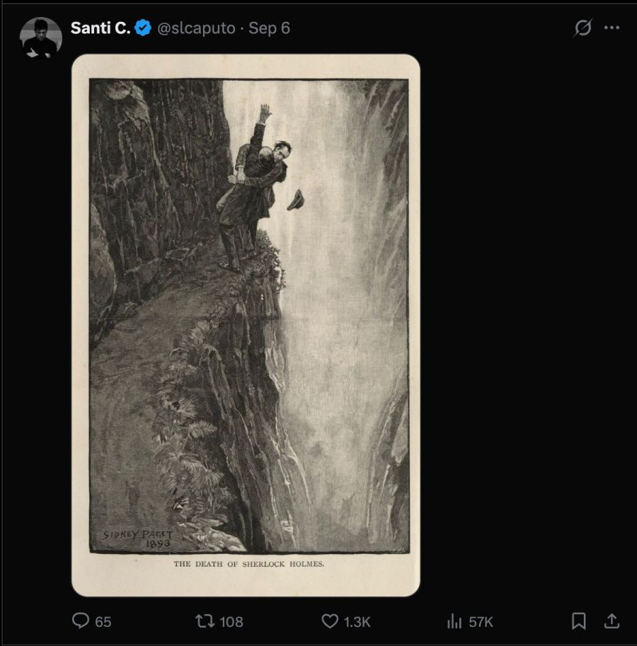 La sugestiva imagen que comparti&oacute; Santiago Caputo: &iquest;salv&oacute; a Milei del abismo?