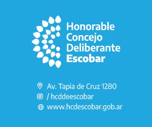 NOTICIAS ESCOBAR: EL HCD RECONOCIO LA TRAYECTORIA DE AIDA HOLTZ