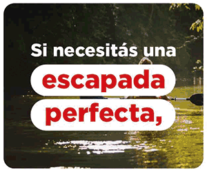 NOTICIAS DE TIGRE